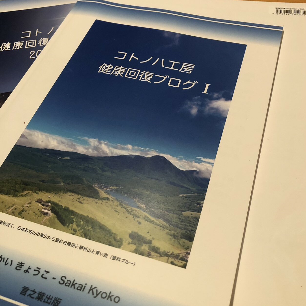 コトノハ健康回復ブログ 本(改訂版) 書籍 コトノハ工房