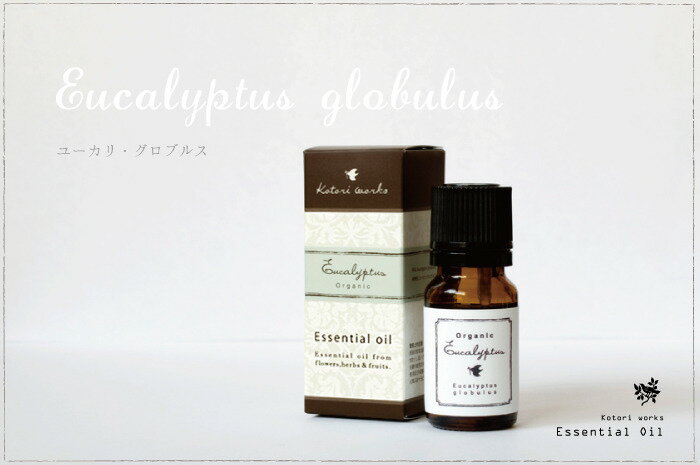 「有機ユーカリ グロブルス」精油オーガニック認証済【 たっぷり10mlのお得サイズ 】【メール便可】 その1