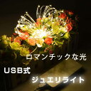 LEDイルミネーション ジュエリーライト USB式 10m 100球 極細ワイヤー 防水 クリスマス 誕生日 パーティー 室内外 デコレーション ツリー led 自宅 玄関 イベント 点灯 電飾 飾り おしゃれ お正月 看板 ストレート 園 壁 きれい リス
