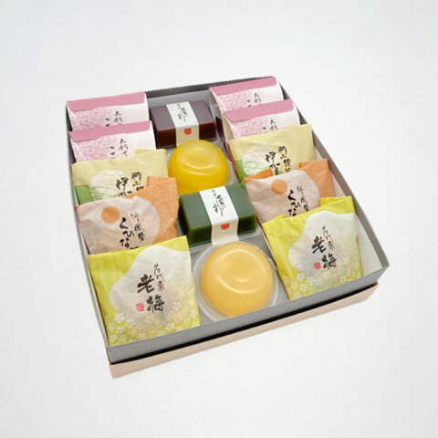 Rakuten - お中元 残暑見舞 和菓子 夏ギフト ｜ 伊賀涼菓 (小) 焼菓子 水羊羹 ゼリー 饅頭 まんじゅう 水羊羹 夏 御中元 御供 御礼 手土産 贈り物 お取り寄せ 和スイーツ 送料込み 夏の定番 三重県 伊賀 紅梅屋