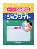 【本日楽天ポイント4倍相当】久光製薬サロンパスQQ-BOX　シップメイト　6枚入【RCP】【北海道・