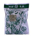 【第(2)類医薬品】【本日楽天ポイント4倍相当】堀江生薬株式会社ホリエ センナ 500g<日本薬局方>【北海道・沖縄は別途送料必要】