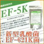 【本日楽天ポイント4倍相当】【☆】新型乳酸菌EF-621K菌【EF-5K】細粒 30包×5袋セット(エンテロコッカス..