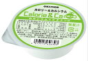 【3%OFFクーポン 5/9 20:00〜5/16 01:59迄】【送料無料】ホリカフーズ株式会社オクノスカロリー&カルシウム メロン味 80g×24個<Cal...