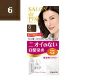 【本日楽天ポイント4倍相当】【医薬部外品】株式会社ダリヤサロンドプロ 無香料ヘアカラー 早染め乳液【白髪用】<6>ダークブラウン(1セット)【北海道・沖縄は別途...