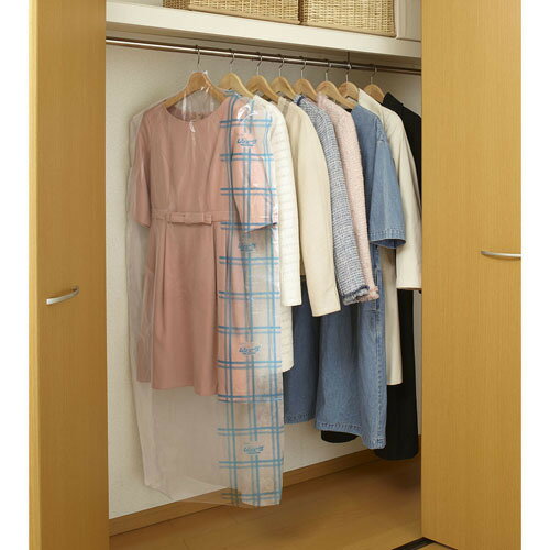 LION ライオン 22437207