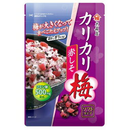 【本日楽天ポイント4倍相当】株式会社 大森屋カリカリ梅赤しそ 40g×10個セット【RCP】【■■】