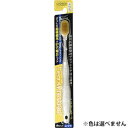 【本日楽天ポイント4倍相当】株式会社クリエイトデンタルプレステージ ふつう(1本入)(お色は選べませんのでご了承ください)【北海道・沖縄は別途送料必要】【CPT】