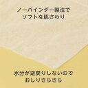 【本日楽天ポイント4倍相当】ピジョン株式会社ソフライナー（220枚入）＜ふんわりソフトな肌ざわり＞ 2