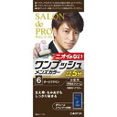 【本日楽天ポイント4倍相当!!】【送料無料】【医薬部外品】株式会社ダリヤサロンドプロ ワンプッシュメンズヘアカラー 6 ダークブラウン ( 1セット )＜簡単・快適！ニオイのない男の白髪染め＞【△】