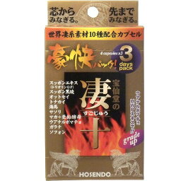 【本日楽天ポイント4倍相当】株式会社宝仙堂宝仙堂の凄十 豪快パック（4粒×3コ入）【CPT】