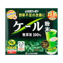 【本日楽天ポイント4倍相当】山本漢方製薬株式会社ケール粉末 100％ ドリンクシェーカー付 264g