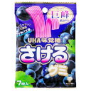 【本日楽天ポイント4倍相当】味覚糖株式会社さけるグミ 巨峰 7枚入×10個セット【RCP】