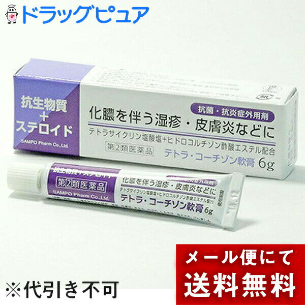 【第(2)類医薬品】【本日楽天ポイント4倍相当】【メール便で送料無料 ※定形外発送の場合あり】株式会社..