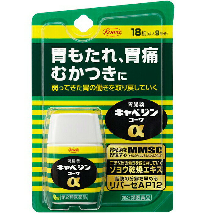 【第2類医薬品】【本日楽天ポイン