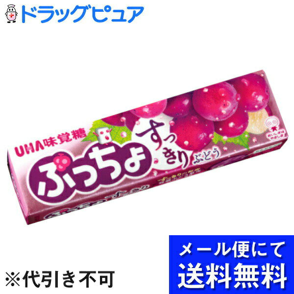 【本日楽天ポイント4倍相当】【メール便で送料無料 ※定形外発送の場合あり】味覚糖株式会社ぷっちょスティック　すっきりぶどう 10粒×10個セット【RCP】(メール便のお届けは発送から10日前後が目安です)