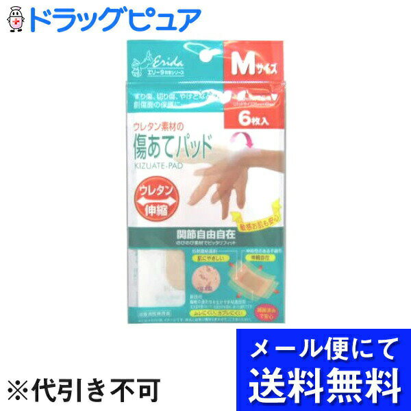 【本日楽天ポイント4倍相当】【10個セット】【メール便で送料無料 ※定形外発送の場合あり】共立薬品工