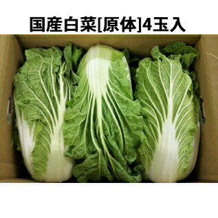 ŷݥ4̵ۡ۳ҥȡʡ[Ρ4(9kg)ʼ˸ͻԤ鿷ڤϤޤ(...