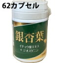 八ツ目製薬株式会社 銀杏葉 62カプセル入<2カプセルにイチョウ葉エキス240mg+山芋1kg分のジオスゲニン含有>【RCP】【北海道・沖縄は別途送料必要】