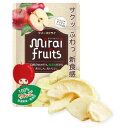 【本日楽天ポイント4倍相当】株式会社ビタットジャパンミライフルーツ りんご 10g【RCP】