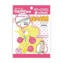 【本日楽天ポイント4倍相当】日本パフ株式会社ふんわりフロス 30本【RCP】