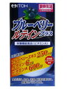 【本日楽天ポイント4倍相当】【送料無料】【お任せおまけ付き♪】井藤漢方製薬株式会社ブルーベリーテインプラス 60球×6個セット【RCP】【△】