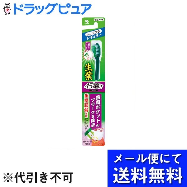 【本日楽天ポイント4倍相当】【メール便で送料無料 ※定形外発送の場合あり】小林製薬株式会社生葉 しょうよう 45°磨きブラシ レギュラーヘッド 1本【RCP】