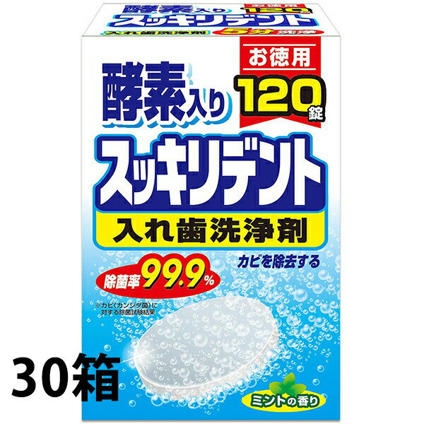 楽天神戸たんぽぽ薬房【本日楽天ポイント4倍相当】【☆】ライオンケミカル株式会社 酵素入り スッキリデント ミントの香り［部分入れ歯・総入れ歯兼用］［お徳用］120錠×30箱セット＜カビを除去する＞＜入れ歯洗浄剤＞（この商品は注文後のキャンセルができません）