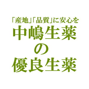 【3％OFFクーポン 4/30 00:00～5/6 23:59迄】【送料無料】【お任せおまけ付き♪】時価の為、価格が変わる場合があります中嶋生薬株式会社　ナカジマ　冬虫夏草　50g入(中国産)(トウチュウカソウ。別名：芋虫菌・イモムシキン)【RCP】【△】