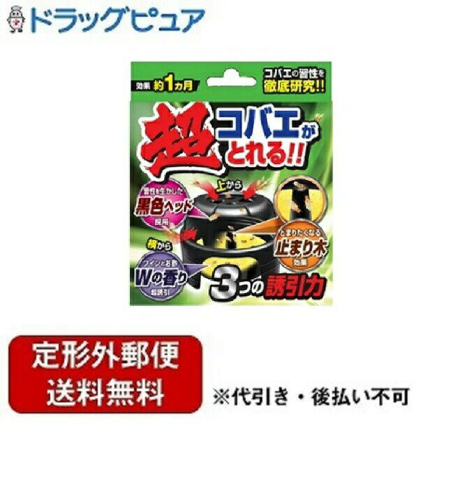 【本日楽天ポイント4倍相当】新DW12【定形外郵便で送料無料でお届け】株式会社立石春洋堂ヘキサチン超コバエがとれる 1個【RCP】【TK290】