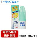 【定形外郵便で送料無料でお届け】【第2類医薬品】カイゲンファーマ株式会社カイゲン点鼻薬(30mL)<急性鼻炎・アレルギー性鼻炎などの諸症状を緩和>【TK290】