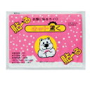 【送料無料】株式会社立石春洋堂『貼るカイロ ホット驚く 10袋入×24個セット(240枚)』【RCP】【△】