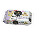 【本日楽天ポイント4倍相当】【定形外郵便で送料無料でお届け】大王製紙株式会社エリエール キレキラ! 1枚で徹底トイレお掃除シート つめかえ用 ( 10枚*2コ入...