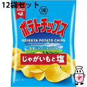 【3%OFFクーポン 7/19 20:00〜7/26 01:59迄】【送料無料】株式会社湖池屋 ポテトチップス じゃがいもと塩 60g×12個セット【北海道・沖...