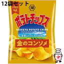 【送料無料】株式会社湖池屋 ポテトチップス 金のコンソメ 60g×12個セット【北海道・沖縄は別途送料必要】【△】