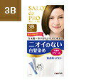 【定形外郵便で送料無料でお届け】【医薬部外品】株式会社ダリヤサロンドプロ 無香料ヘアカラー 早染めクリーム【白髪用】<3B>ベージュブラウン(1セット)【TK4...