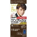 【定形外郵便で送料無料でお届け】【医薬部外品】株式会社ダリヤサロンドプロ ワンプッシュメンズヘアカラー 6 ダークブラウン ( 1セット )<簡単・快適!ニオイのない男の白髪染め>【TK510】