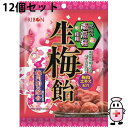 【本日楽天ポイント4倍相当】【送料無料】リボン株式会社 生梅飴 90g×12個セット<紀州の南高梅使用。梅肉50%使用。うめキャンディー>【北海道・沖縄は別途送料必要】【△】