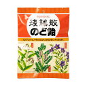 【3%OFFクーポン 8/4 20:00~8/11 01:59迄】【送料無料】入江製菓株式会社 後藤散のど飴 80g【RCP】【△】