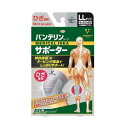 【3%OFFクーポン 8/4 20:00〜8/11 01:59迄】【送料無料】興和株式会社 バンテリンサポーターひざ専用LLサイズ シルバーグレー 1枚【RCP...