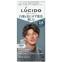 【本日楽天ポイント4倍相当】【送料無料】株式会社マンダム LUCIDO(ルシード) デザインヘアカラー クールアッシュ 白髪染め メンズ【医薬部外品】 1剤 35g/2剤 70ml/アフタートリートメント 5g【RCP】【△】