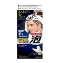 【本日楽天ポイント4倍相当】【送料無料】株式会社ダリヤ サロンドプロ 泡のヘアカラーEX メンズスピーディ(白髪用) 6<ダークブラウン>【医薬部外品】 1セッ...