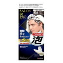 【本日楽天ポイント4倍相当】【送料無料】株式会社ダリヤ サロンドプロ 泡のヘアカラーEX メンズスピーディ(白髪用) 6A<深みのあるアッシュブラウン>【医薬部...