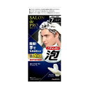【本日楽天ポイント4倍相当】【送料無料】株式会社ダリヤ サロンドプロ 泡のヘアカラーEX メンズスピーディ(白髪用) 7<ナチュラルブラック>【医薬部外品】 1...