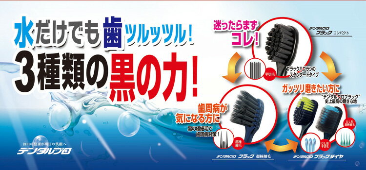 【本日楽天ポイント4倍相当】デンタルプロ株式会社ブラックダイヤ コンパクト ふつう(1本入)＜コンパクトヘッドで隅々まで磨ける＞【CPT】