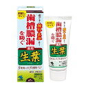 【本日楽天ポイント4倍相当】【医薬部外品】小林製薬株式会社生葉(しょうよう) お試しサイズ (40g)<歯ぐきの腫れ・出血を伴う歯槽膿漏を防ぐ>【CPT】