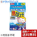 【本日楽天ポイント4倍相当】【メール便で送料無料 ※定形外発送の場合あり】小林製薬株式会社からだに貼る熱さまシート(14枚入)(外箱は開封した状態でお届けします...