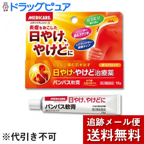 【第2類医薬品】【本日楽天ポイント4倍相当】【メール便で送料無料 ※定形外発送の場合あり】森下仁丹株式会社『メディケア　パンパス軟膏　15g』【RCP】