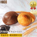 パン 詰め合わせ リッチデニッシュ チョコ+ミルク 16個入り ロングライフパン 常温保存 長期保存 日持ち 長持ち 送料無料 パン詰め合わせ