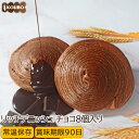パン 詰め合わせ リッチデニッシュ チョコ 8個入り ロングライフパン 常温保存 長期保存 日持ち 長持ち パン詰め合わせ
